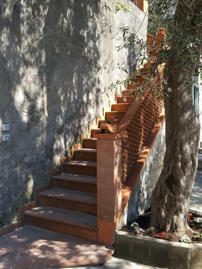La Scaletta Casa Vacanze Massa Lubrense Exterior foto