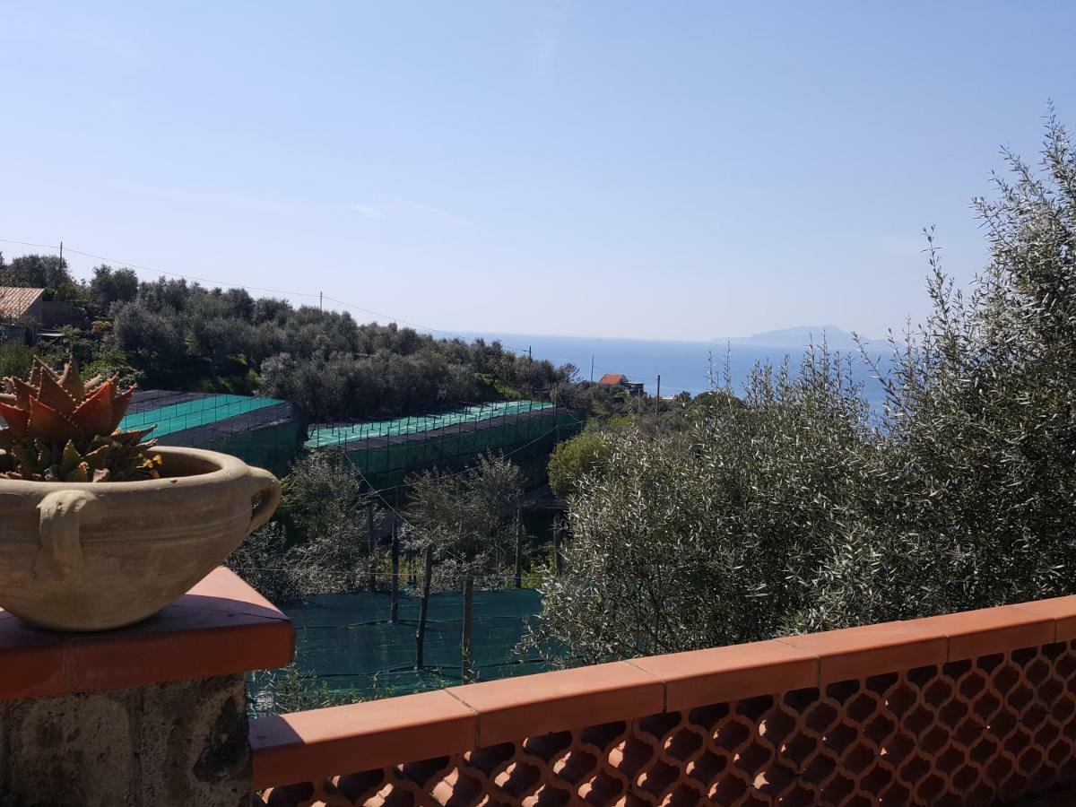 La Scaletta Casa Vacanze Massa Lubrense Exterior foto