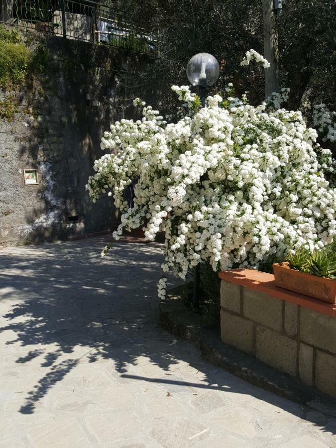 La Scaletta Casa Vacanze Massa Lubrense Exterior foto