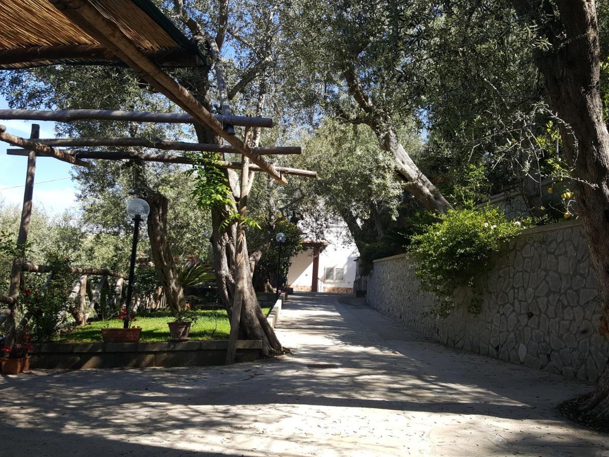 La Scaletta Casa Vacanze Massa Lubrense Exterior foto